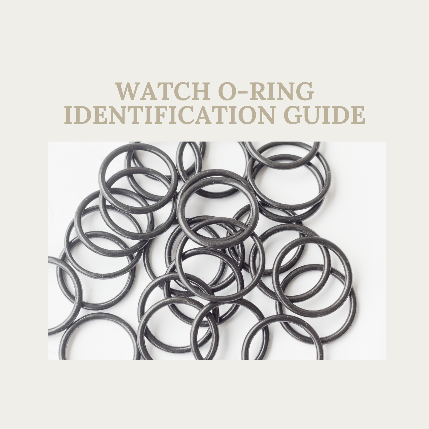 How To Identify The Correct O-Ring For Your Watch