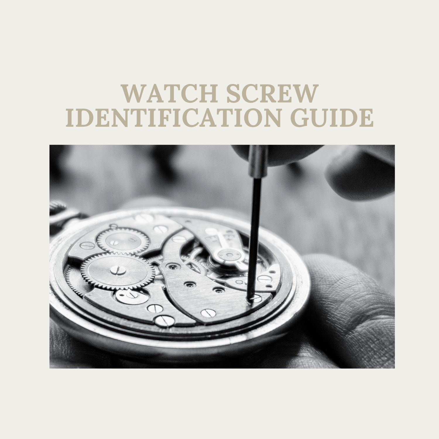 How To Identify The Correct Screws For Your Watch