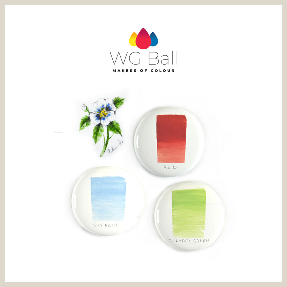 WG Ball Enamel Painting Colours