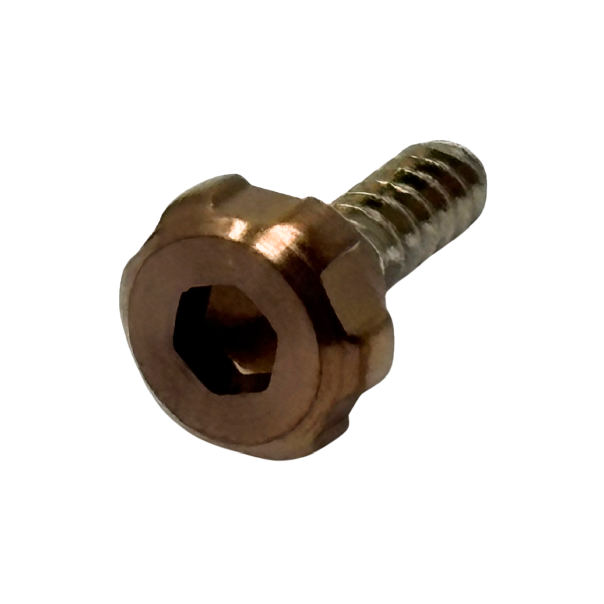 Casio Bezel Screw 10577930