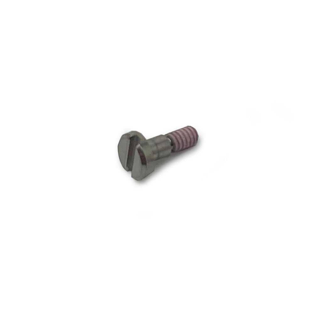 Casio Screw 10624120