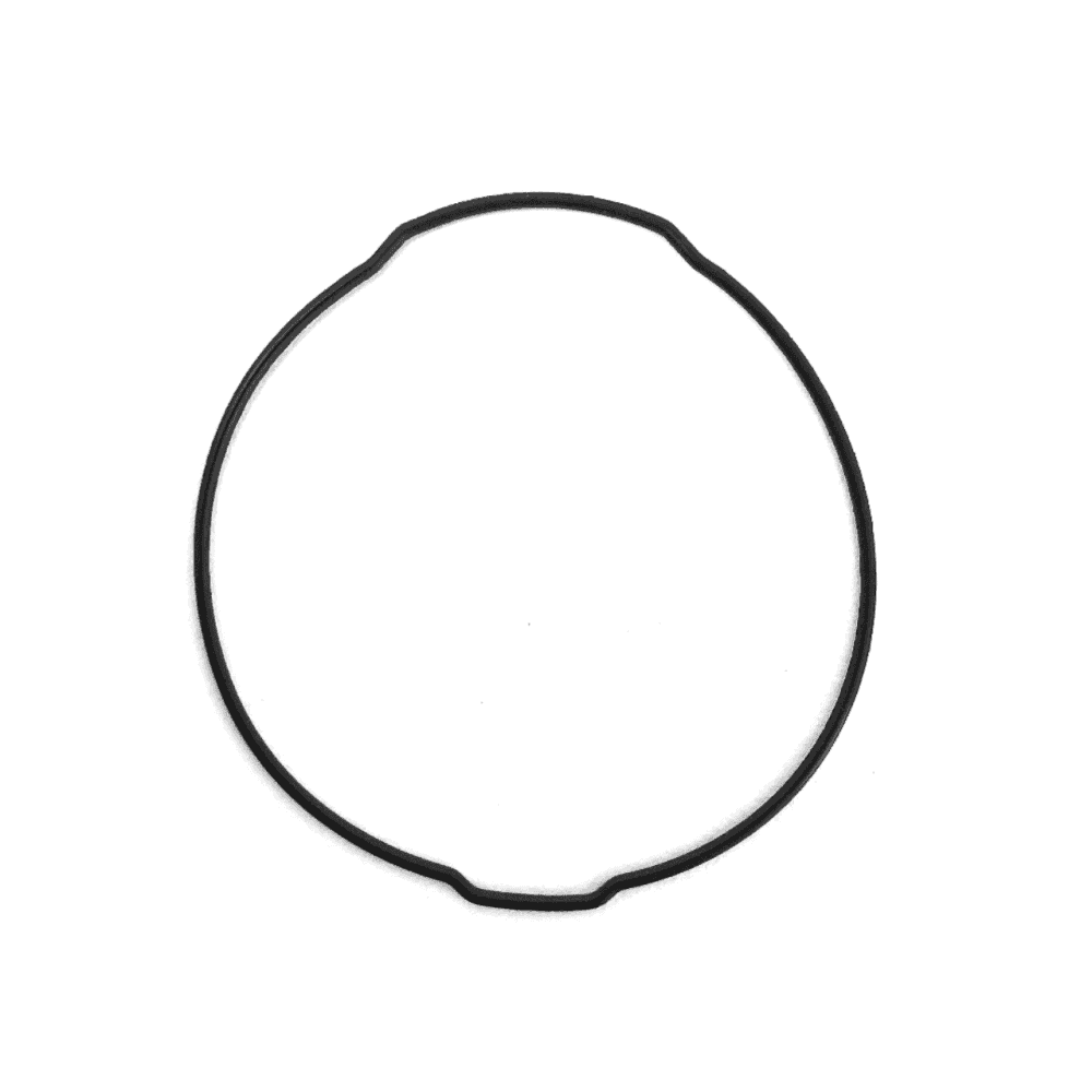 Watch Case O-Ring 10304109