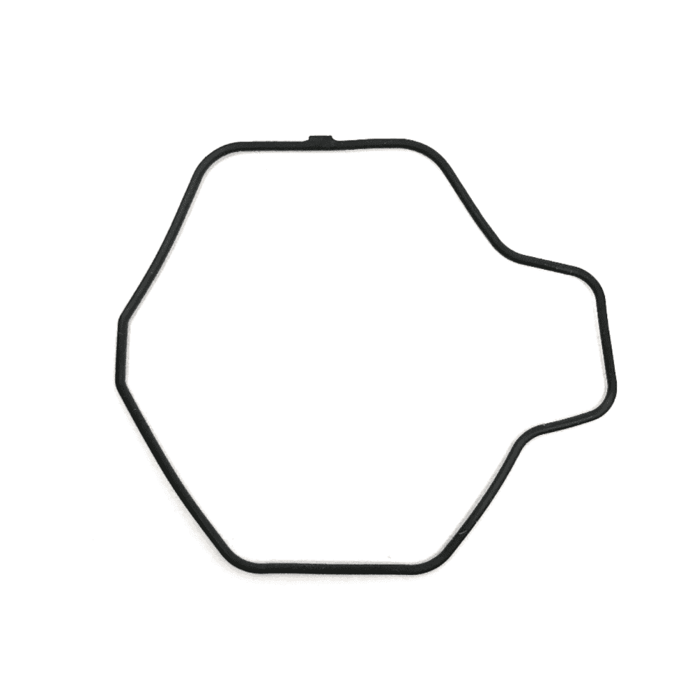 Casio Watch Case O-Ring 74212968