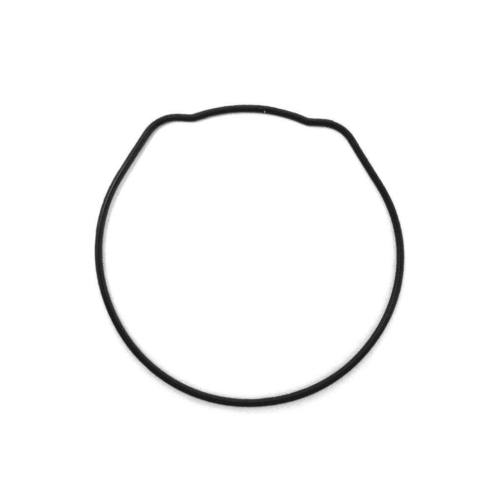 Casio Watch Case O-Ring 10160349