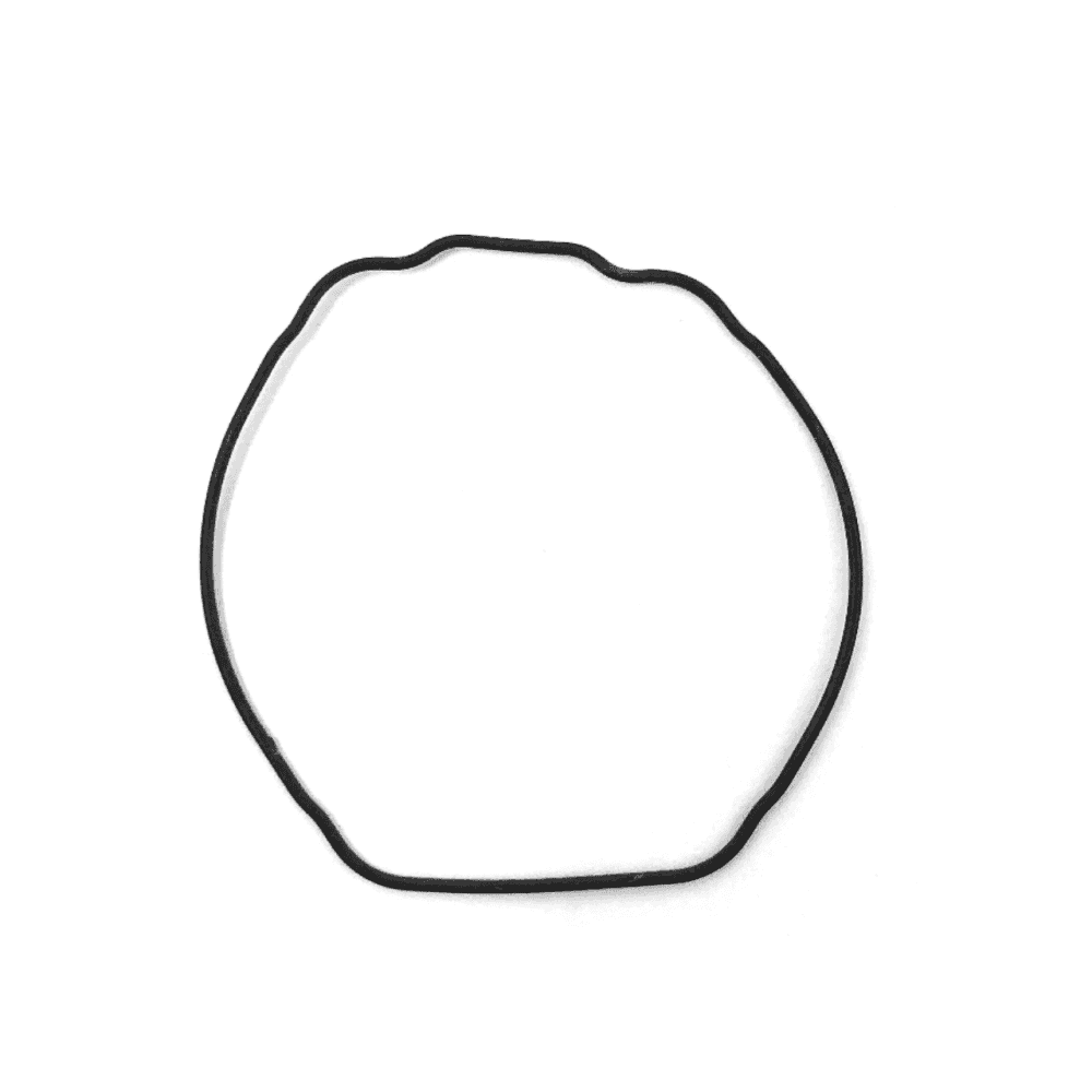 Casio Watch Case O-Ring 10124562