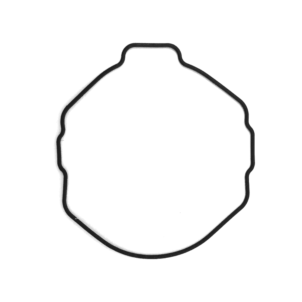 Casio Watch Case O-Ring 10045819