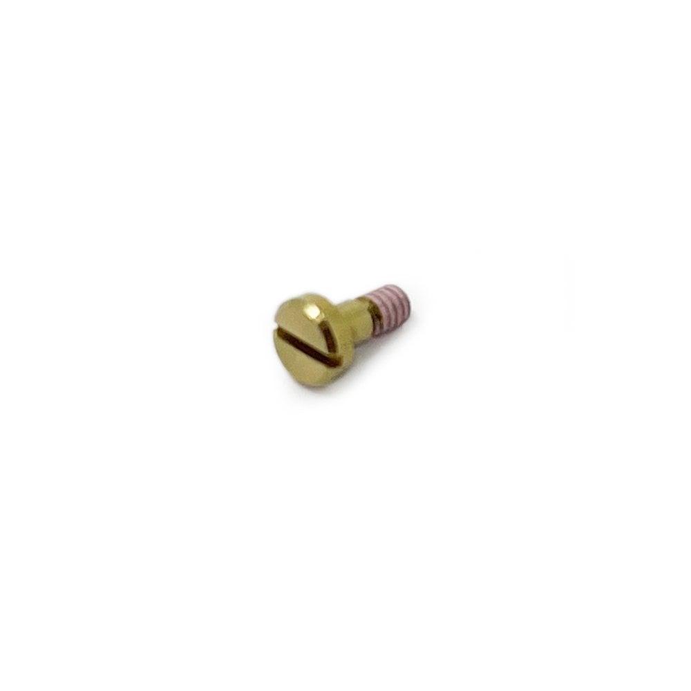 Casio Screw 10553832