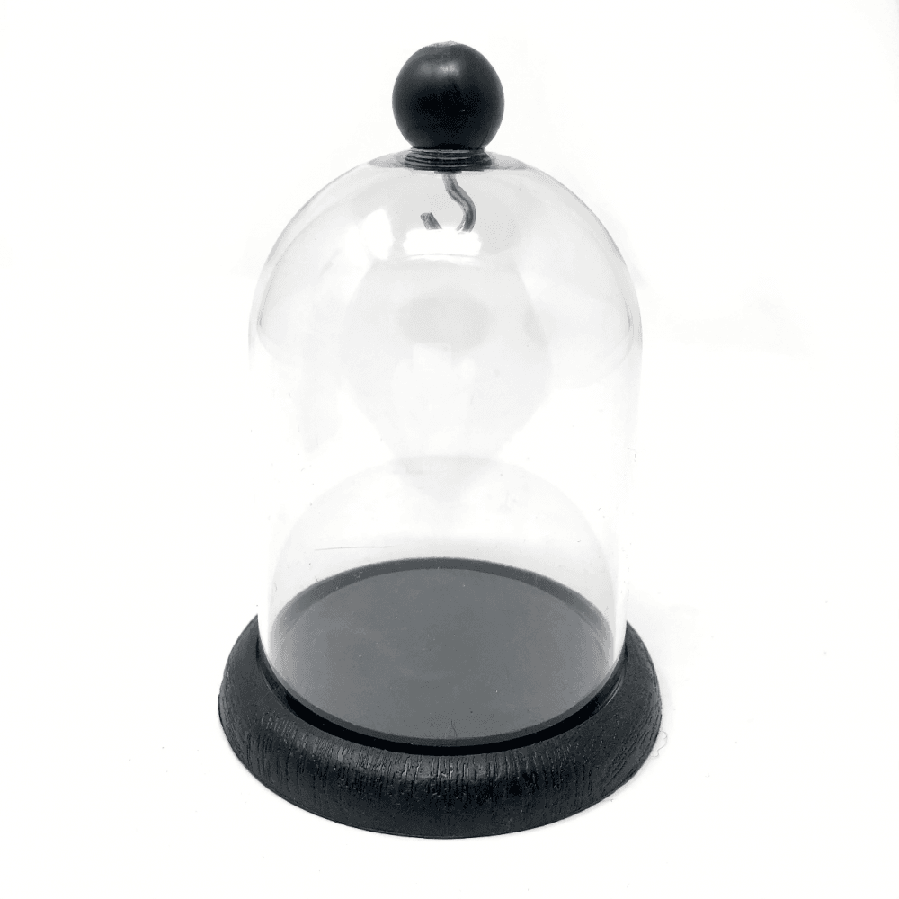 Pocket Watch Display Dome Plastic