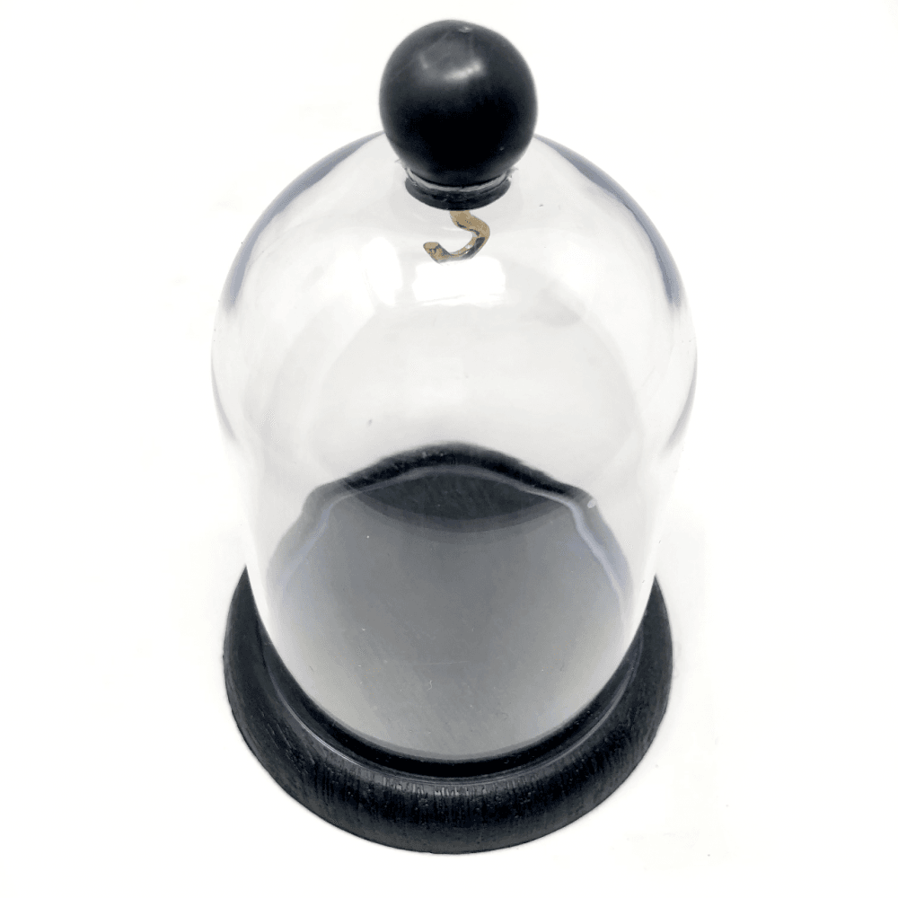 Pocket Watch Display Dome Plastic