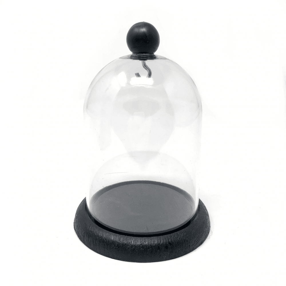 Pocket Watch Display Dome Plastic