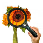 Carson Lumé Handheld 2x Aspheric Magnifier