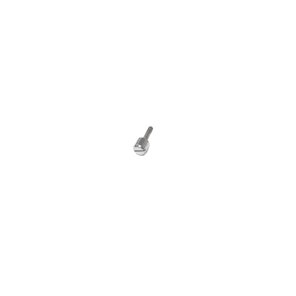 Casio Band Screw 10252150