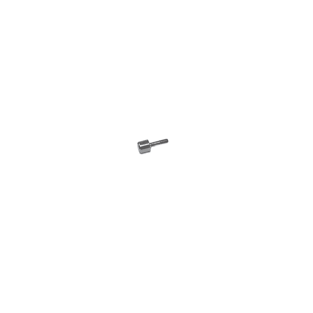 Casio Band Screw 10252150