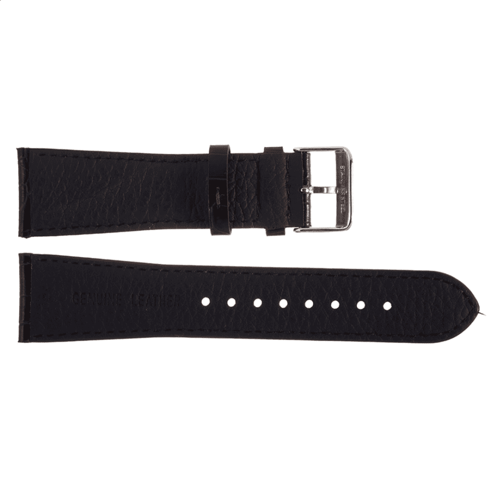 Casio Watch Strap 10366009