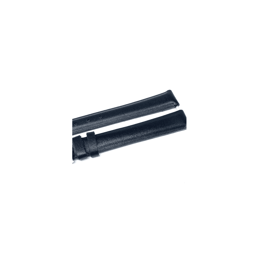Timex Easy Reader Strap T2H341 & T20433