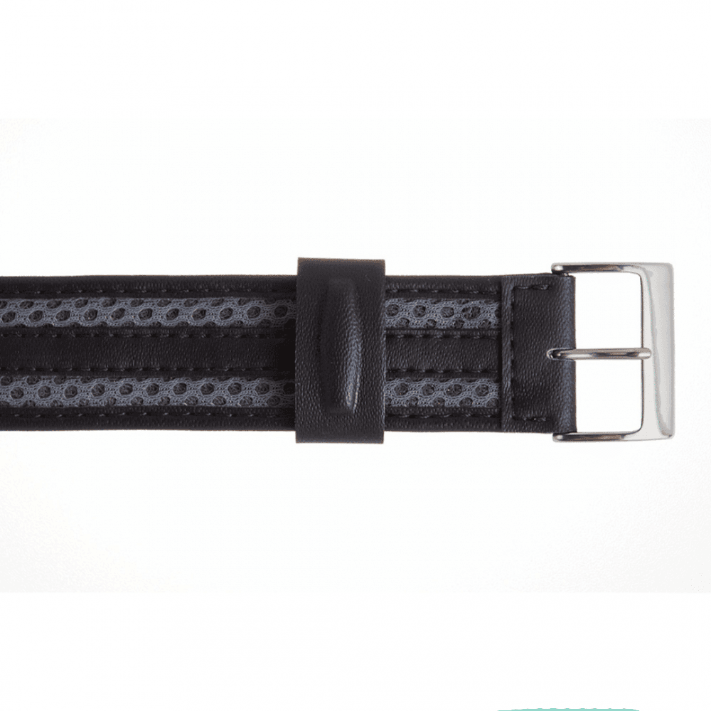 Casio Watch Strap 10287187
