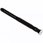 Casio Watch Strap 10338541