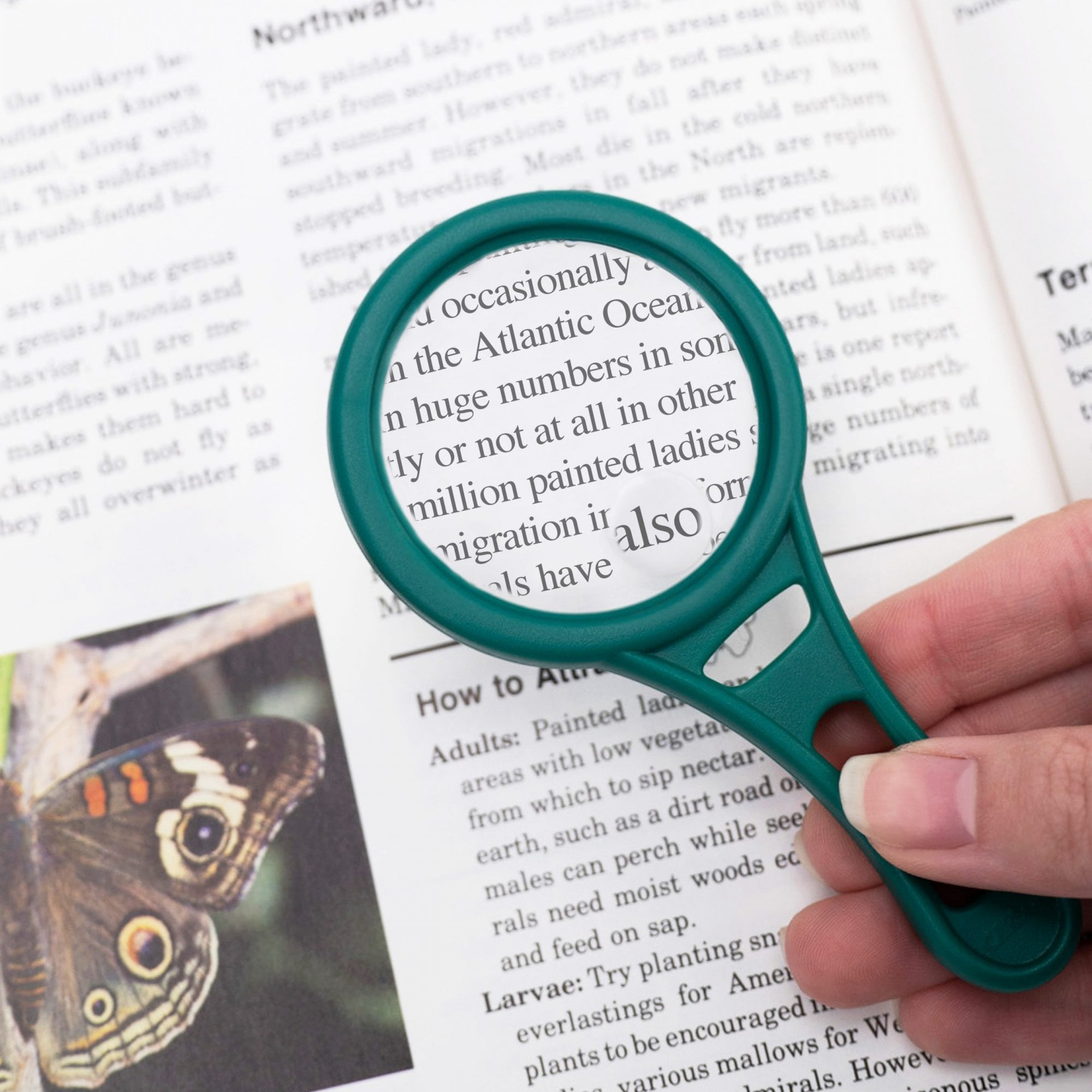 Carson Magnetic Magnifying Glass Light Blue