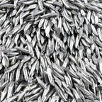 Durston Stainless Steel Dowel Pins Shot 1kg