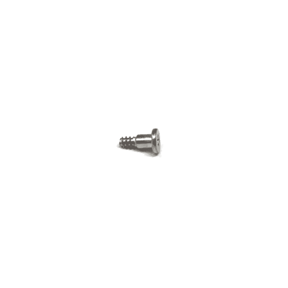 Casio Screw 74294209