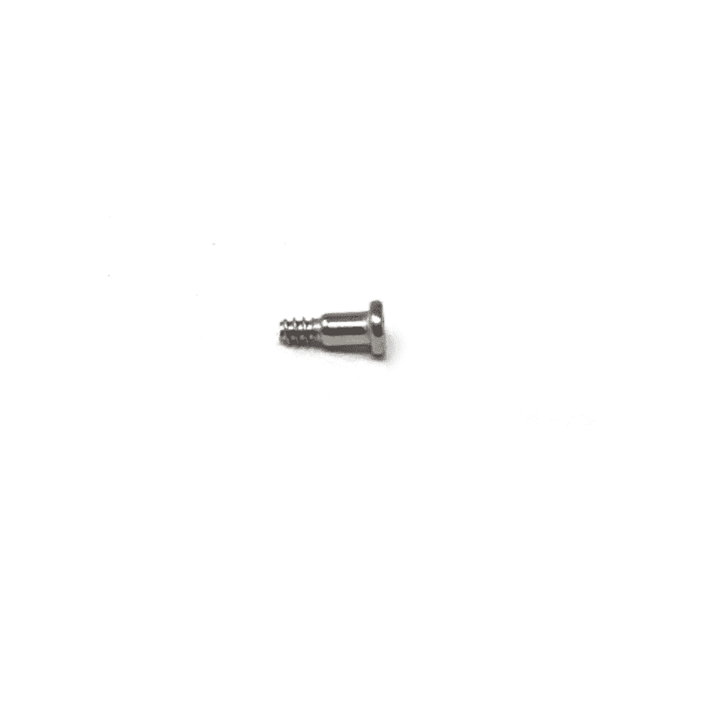 Casio Screw 10223549
