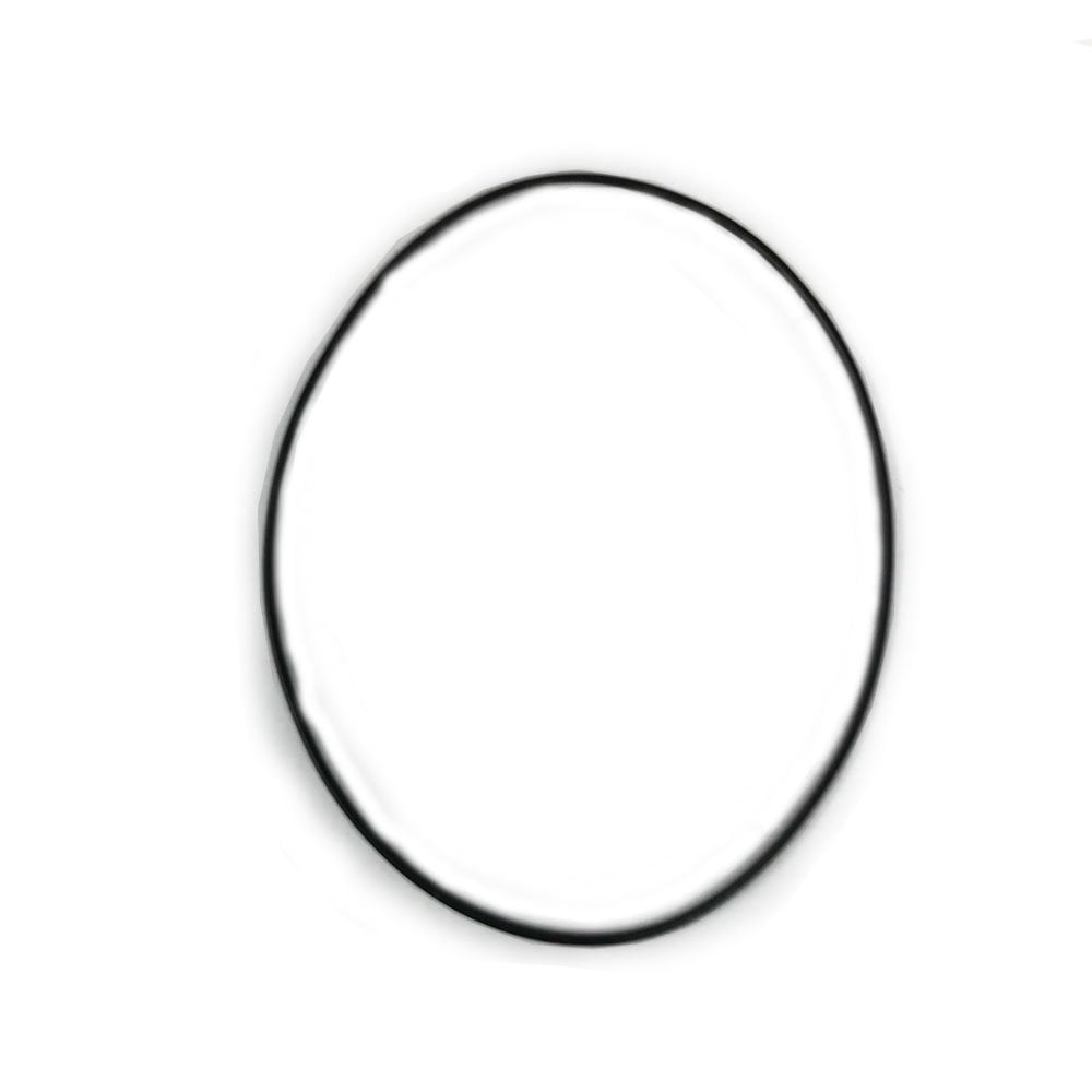 Watch Case O-Ring 10515582