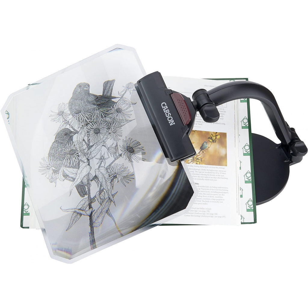 Carson 1.5x Rectangular Desktop Fresnel Stand Magnifier