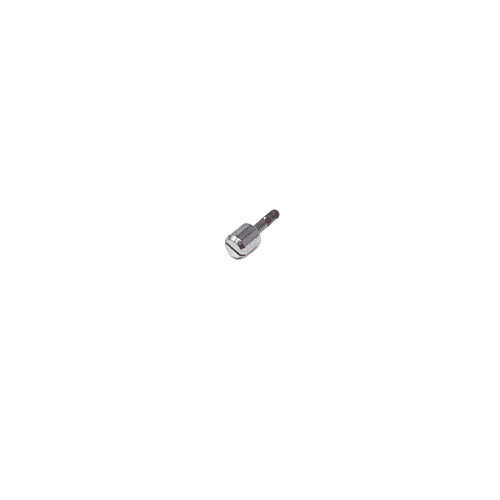 Casio Band Screw 10320747