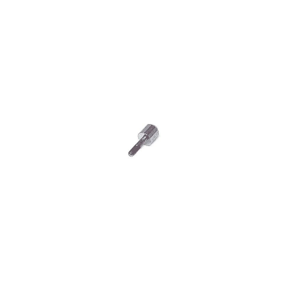 Casio Band Screw 10320747