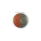 WG Ball Transparent Enamel Powder - Clear Flux 477