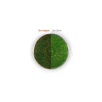 WG Ball Transparent Enamel Powder - Budgerigar Green 430