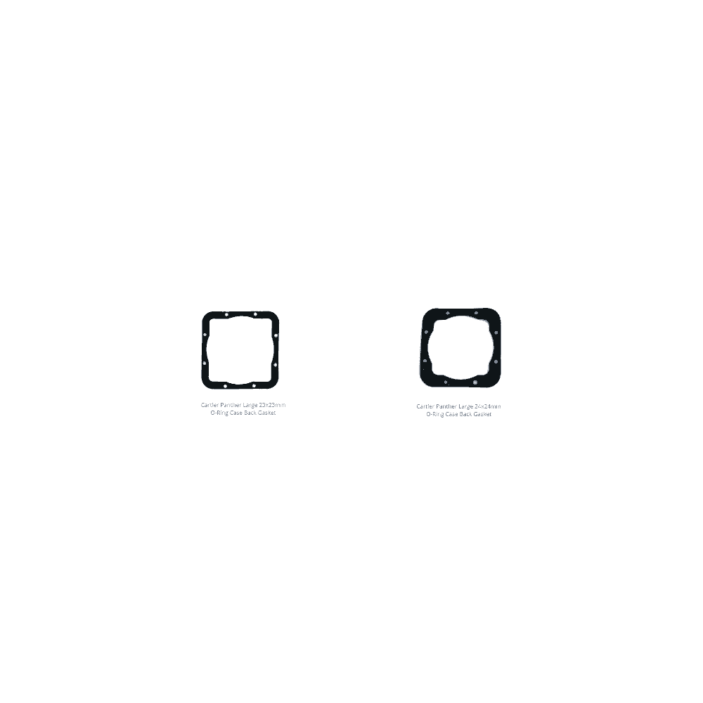 Cartier Generic O Rings - CA31