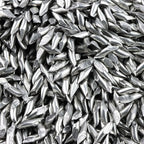 Durston Stainless Steel Oblique Pins Shots 1kg