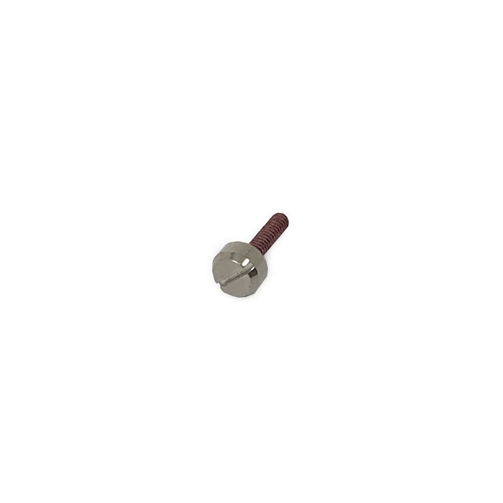 Casio Screw 10113923