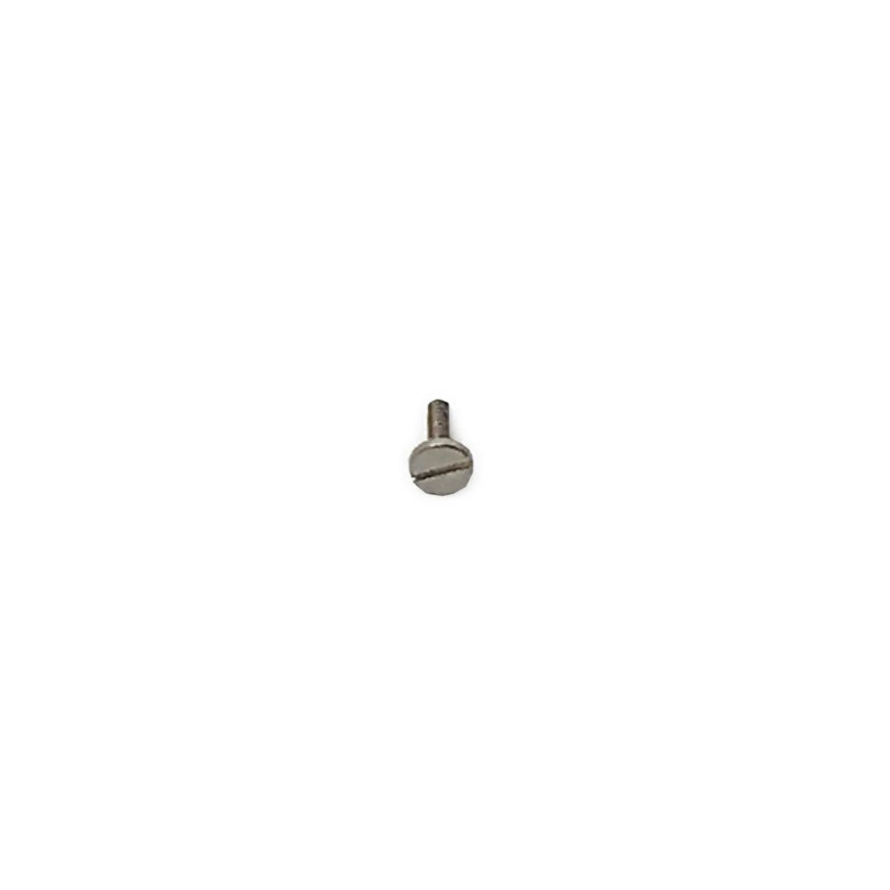 Casio Screw 10123230