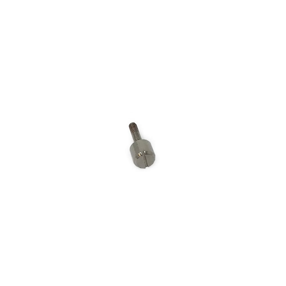 Casio Band Screw 10252150