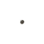 Casio Screw 10309171