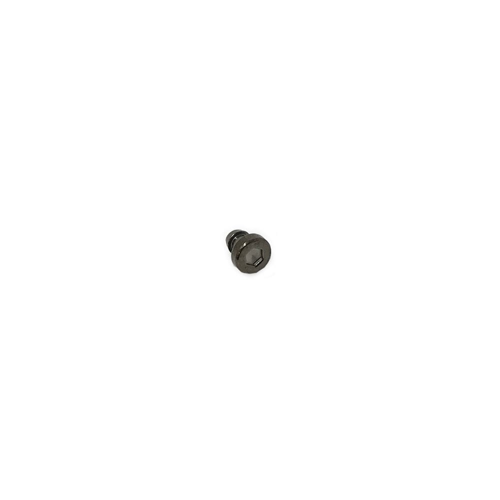 Casio Decorative Screw 10584151