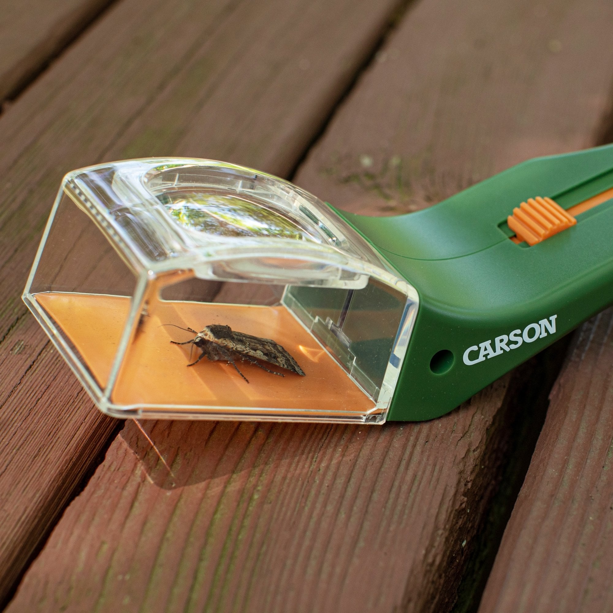 Carson BugView 5x Magnifier Bug Catcher