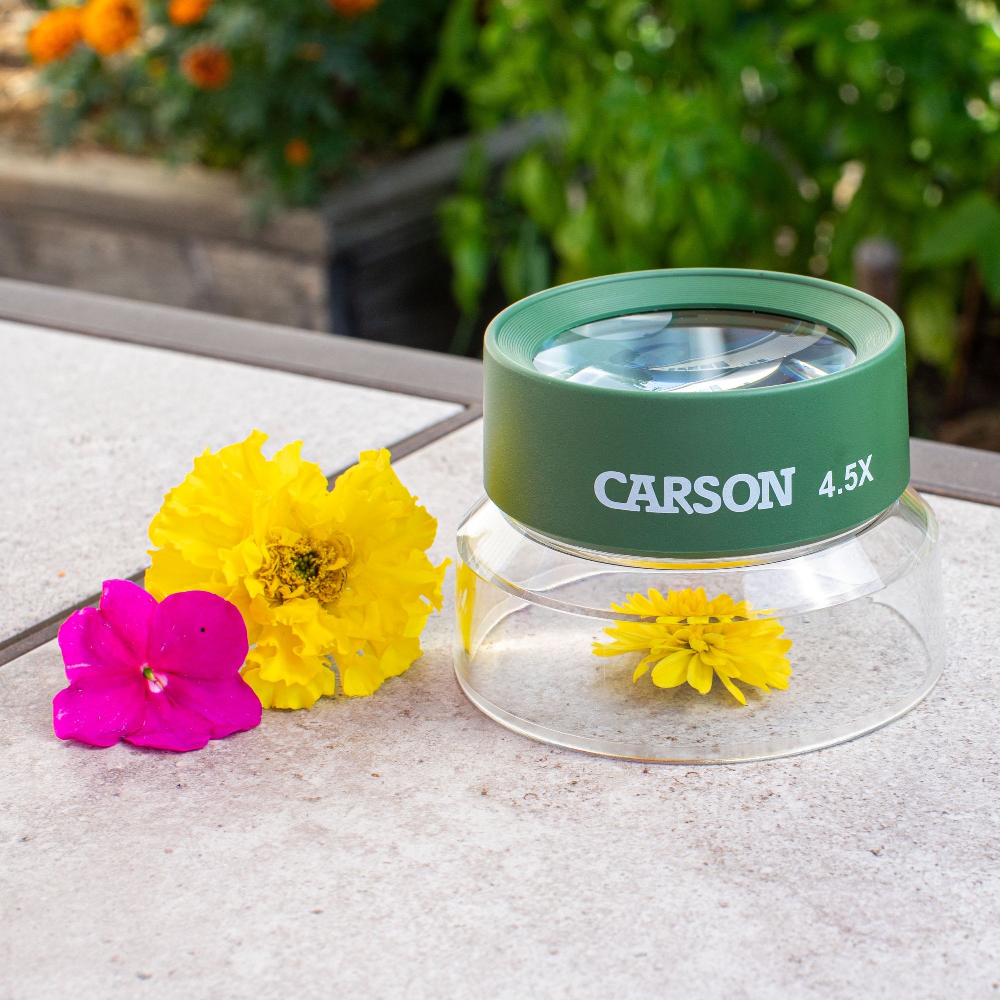 Carson BugLoupe 4.5x Stand Magnifier