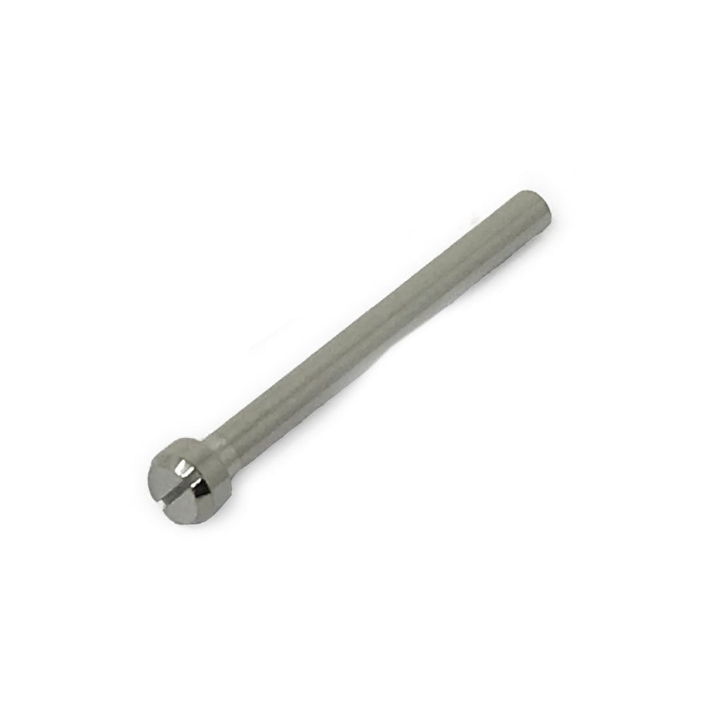 Casio Band Screw (Female) 10099721
