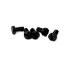 Screws for 400 Day Anniversary Fittings