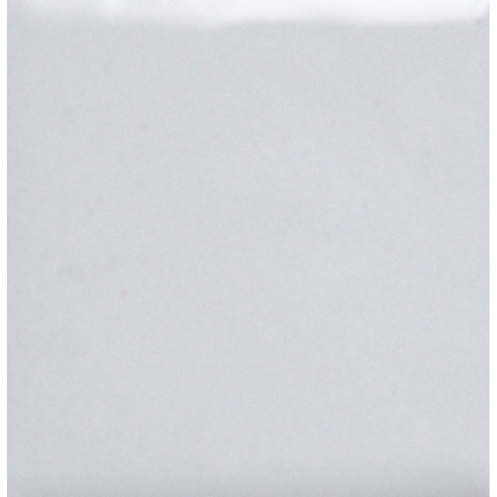 Opaque Enamel Power 25g - Titanium White