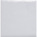 Opaque Enamel Power 25g - Titanium White