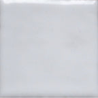 Opaque Enamel Power 25g - Foundation White