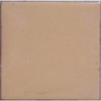 Opaque Enamel Powder 25g - Nut Brown