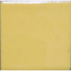 Opaque Enamel Powder 25g - Mellow Yellow