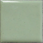 Opaque Enamel Powder 25g - Lichen Green