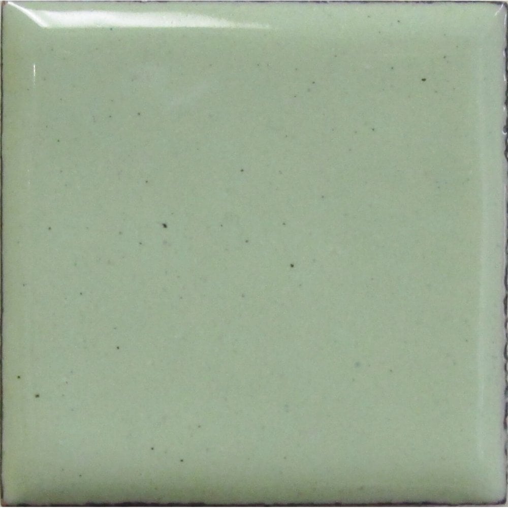 Opaque Enamel Power 25g - Lichen Green