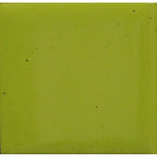 Opaque Enamel Powder 25g - Bitter Green